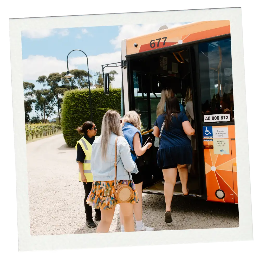THE BUSES_1