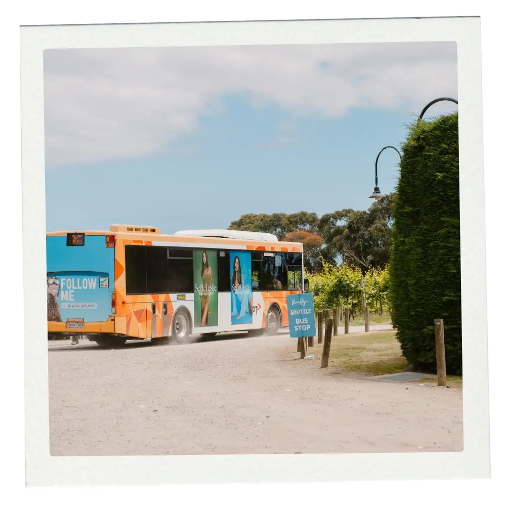 THE BUSES_2